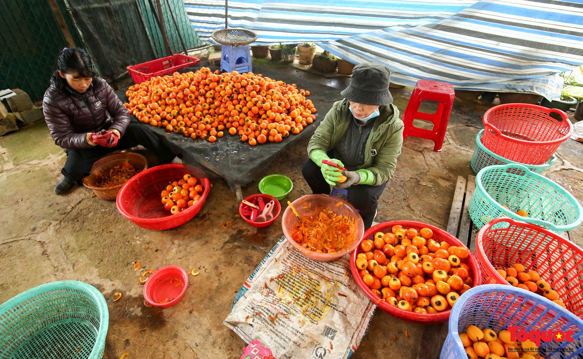 Hồng treo gió Đà Lạt: Đặc sản &quot;kỳ công cho vị ngon xứng đáng&quot; - Ảnh 8.