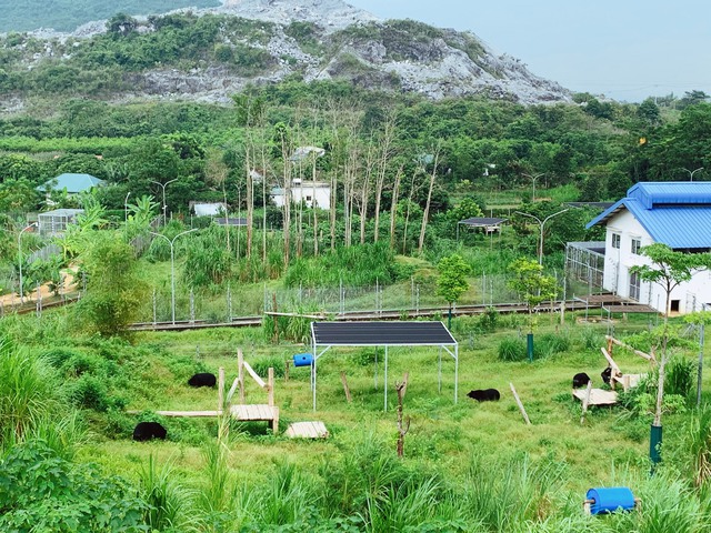 Điểm du lịch thú vị dành cho người yêu động vật hoang dã tại Ninh Bình - Ảnh 3.