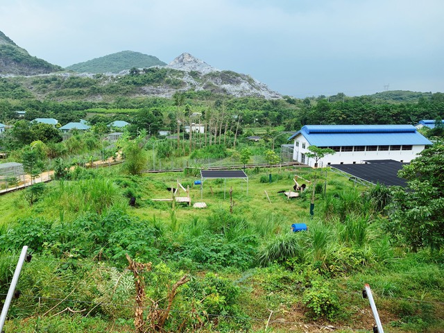 Điểm du lịch thú vị dành cho người yêu động vật hoang dã tại Ninh Bình - Ảnh 2.