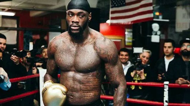 Wilder đối đầu Helenius, Shields so tài Marshall: Một cuối tuần đầy sôi động của boxing thế giới - Ảnh 2.