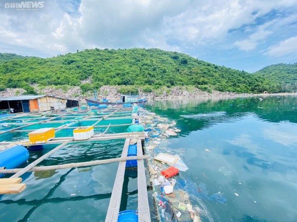 Rác thải nhựa ngập ngụa quanh các bè nuôi thuỷ sản ở vịnh Vũng Rô, Phú Yên