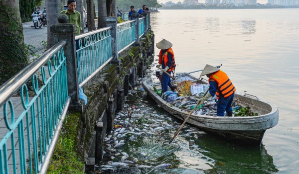 Hà Nội: Cá chết bất thường ở Hồ Tây