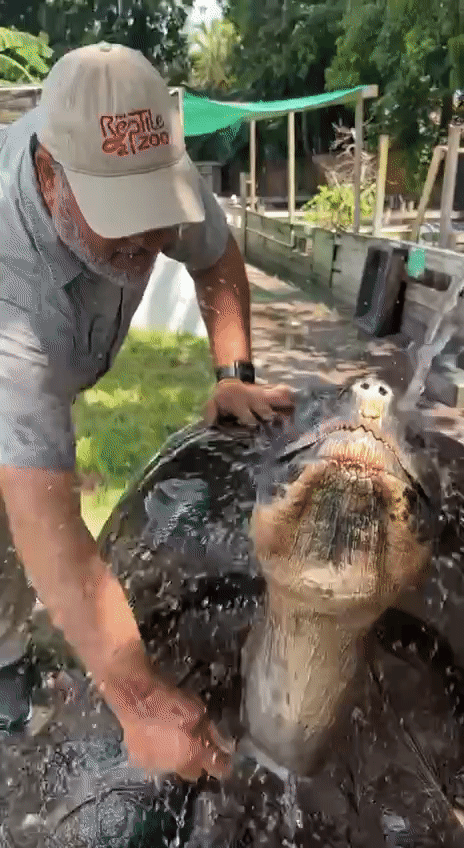 Cư dân mạng há hốc mồm với người đàn ông chuyên “làm bạn” với những loài động vật siêu khủng - Ảnh 2.
