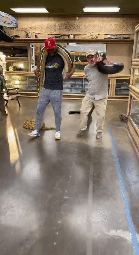 Cư dân mạng há hốc mồm với người đàn ông chuyên “làm bạn” với những loài động vật siêu khủng - Ảnh 5.