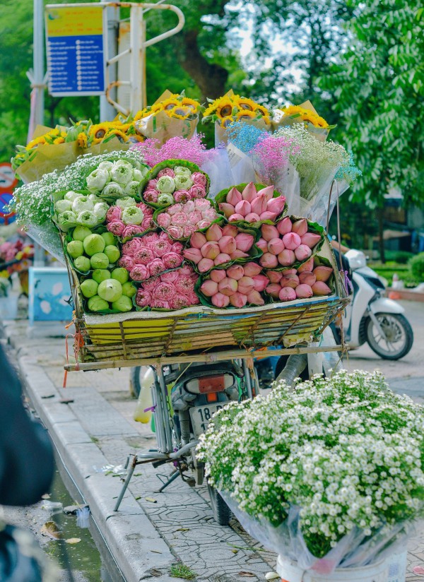 Hà Nội đẹp ngỡ ngàng trên những xe hàng hoa dưới phố