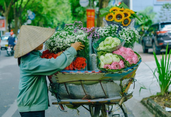 Hà Nội đẹp ngỡ ngàng trên những xe hàng hoa dưới phố