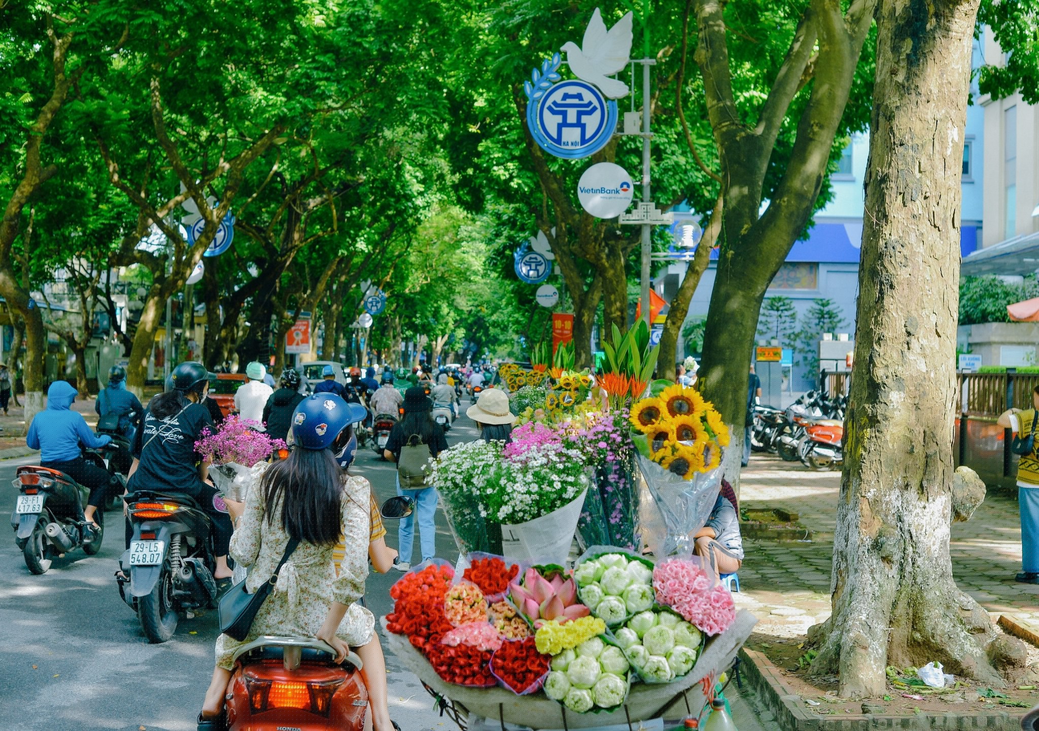 Hà Nội đẹp ngỡ ngàng trên những xe hàng hoa dưới phố