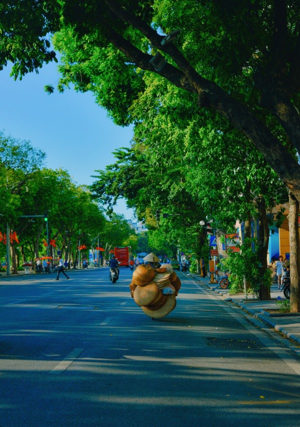 Hà Nội đẹp ngỡ ngàng trên những xe hàng hoa dưới phố