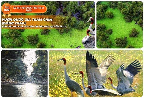 Nhã nhạc Cung đình Huế được xác lập Kỷ lục Bất biến của Việt Nam năm 2022 Nhã nhạc Cung đình Huế được xác lập Kỷ lục Bất biến của Việt Nam năm 2022