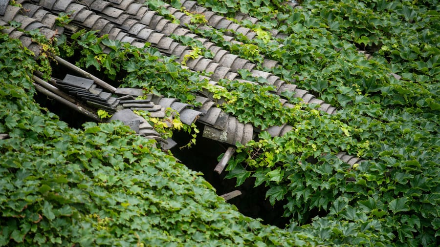 Ngôi làng nhiều năm ẩn mình giữa thiên nhiên bất ngờ gây chú ý nhờ cảnh sắc đẹp tựa cổ tích - Ảnh 5.