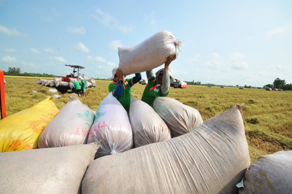 Món Việt lên bàn ăn thế giới