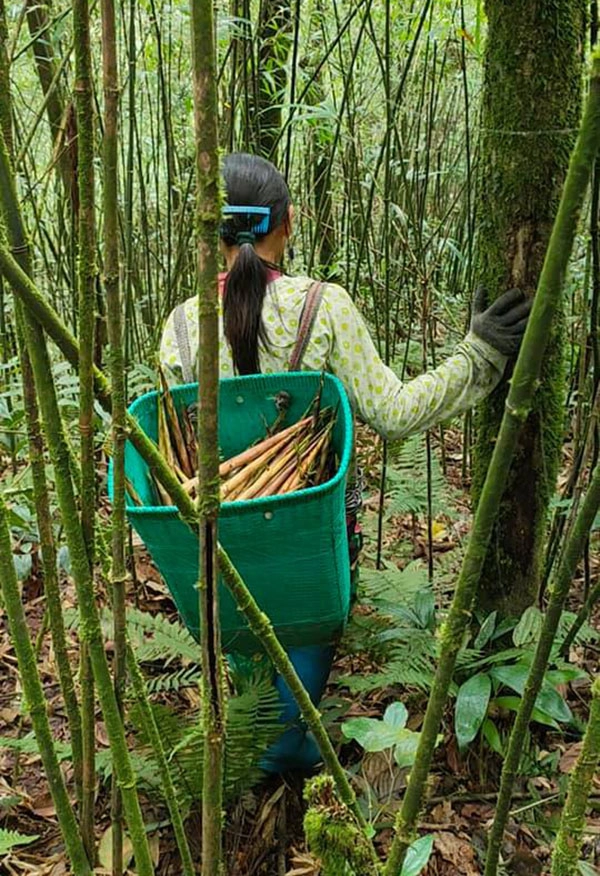 Măng trúc Hà Giang giá đầu mùa đắt đỏ nhưng khách vẫn đặt cả chục kg về ăn