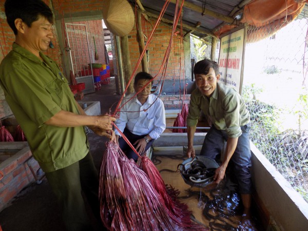 Cái tình người Cai Lậy