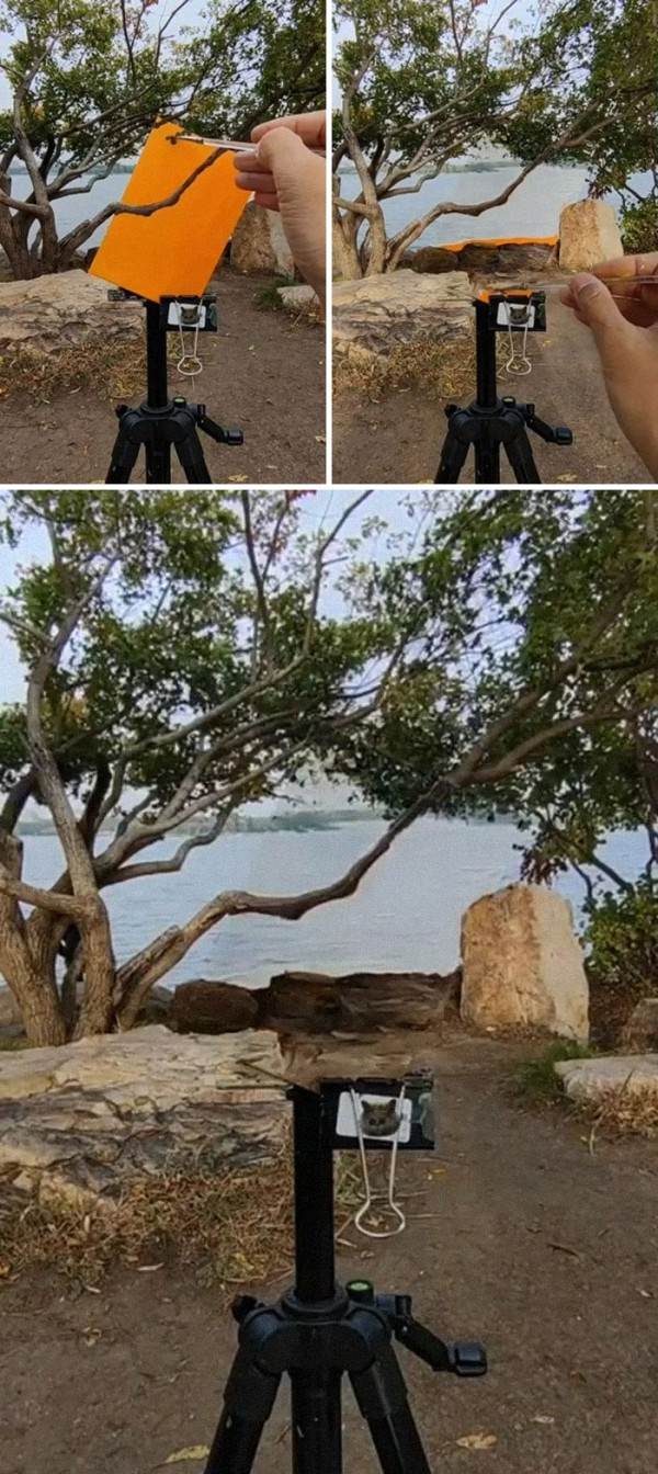 Mãn nhãn trước những bức ảnh hoàn hảo và đúng thời điểm