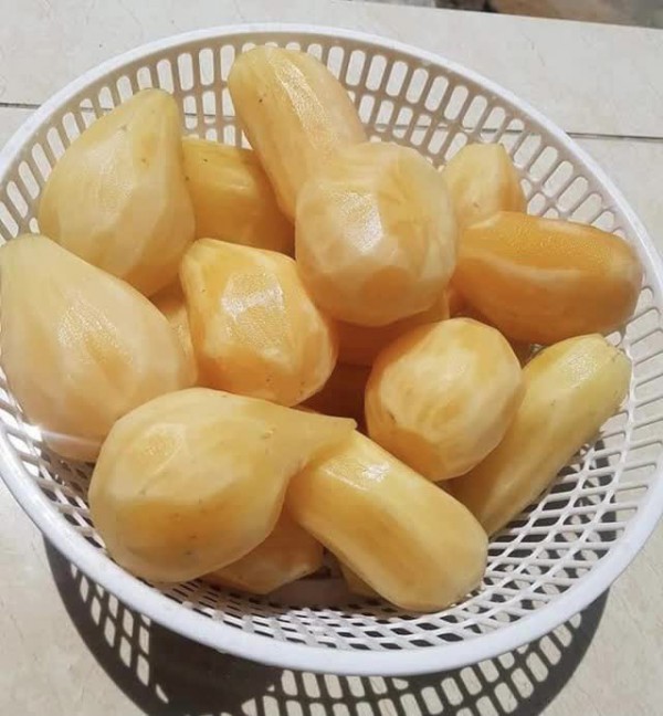 Đặc sản của Lào Cai giá chỉ 20 nghìn/kg, nhìn tưởng khoai lang nhưng thơm mùi nhân sâm