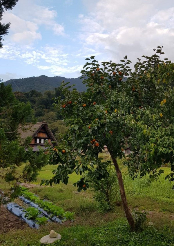 Nơi 