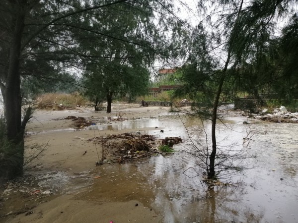 Quảng Bình: Sạt lở 2 km bờ biển, địa phương lên phương án di dời nhiều nhà dân