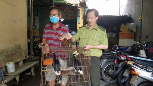 TP.HCM: Người dân bàn giao 2 cá thể chim cao cát để thả về tự nhiên