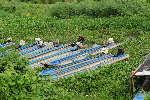 Những yêu thương vẫy gọi phía quê nhà