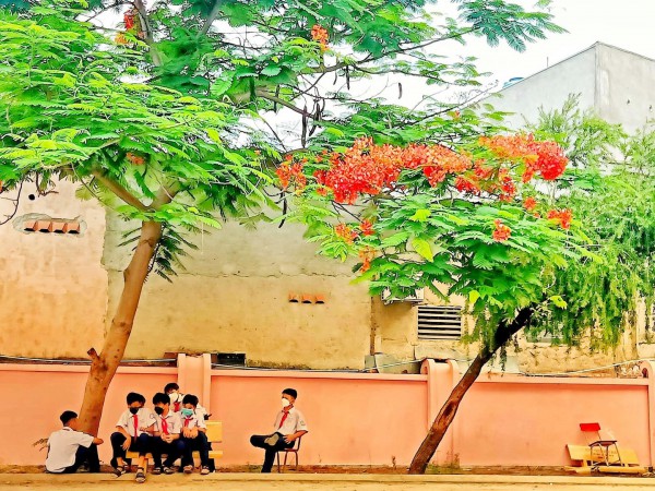 ‘Cứ thứ hai, học sinh nam phải có mặt lúc 6 giờ’: Trường học Q.12 nói gì?