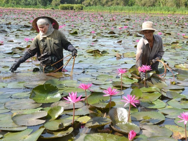 Khám phá du lịch bằng phát triển triển tình nguyện