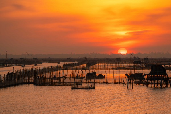 Mê hoặc với bình minh ở Đầm Chuồn