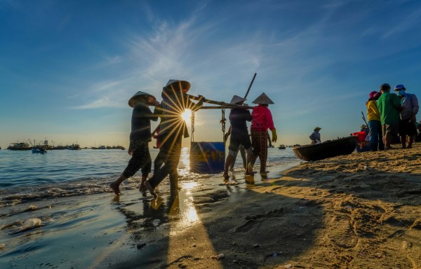 Vẻ đẹp bình dị vào sáng sớm ở chợ cá lớn nhất Quảng Nam