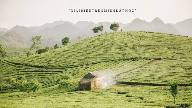 Mộc Châu - Viên ngọc xanh giữa lòng Tây Bắc sở hữu vẻ đẹp kỳ vĩ xứng danh &quot;Điểm đến thiên nhiên hàng đầu châu Á năm 2022&quot; - Ảnh 2.