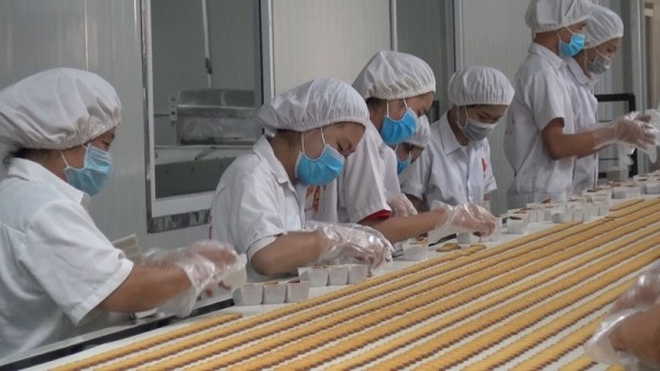 Doanh nghiệp đầu tư đưa công nghệ hiện đại vào sản xuất kinh doanh