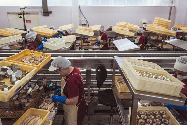 Cá hộp: Giải pháp giảm thiểu biến đổi khí hậu hiệu quả đến không ngờ! - Ảnh 2.