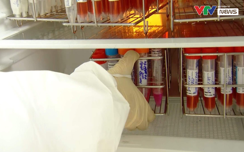 Ngày 17/10: Thêm 673 ca mắc COVID-19 mới, 2 bệnh nhân tử vong