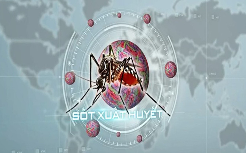 TP. Hồ Chí Minh ghi nhận thêm 3 ca tử vong do sốt xuất huyết