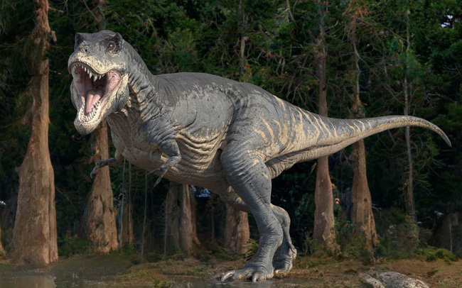 Tại sao khủng long bạo chúa lại có chi trước nhỏ bé?