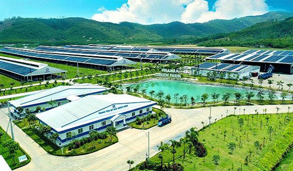 Vinamilk và CEO Mai Kiều Liên được vinh danh trong chương trình Thương hiệu Mạnh Việt Nam 2022