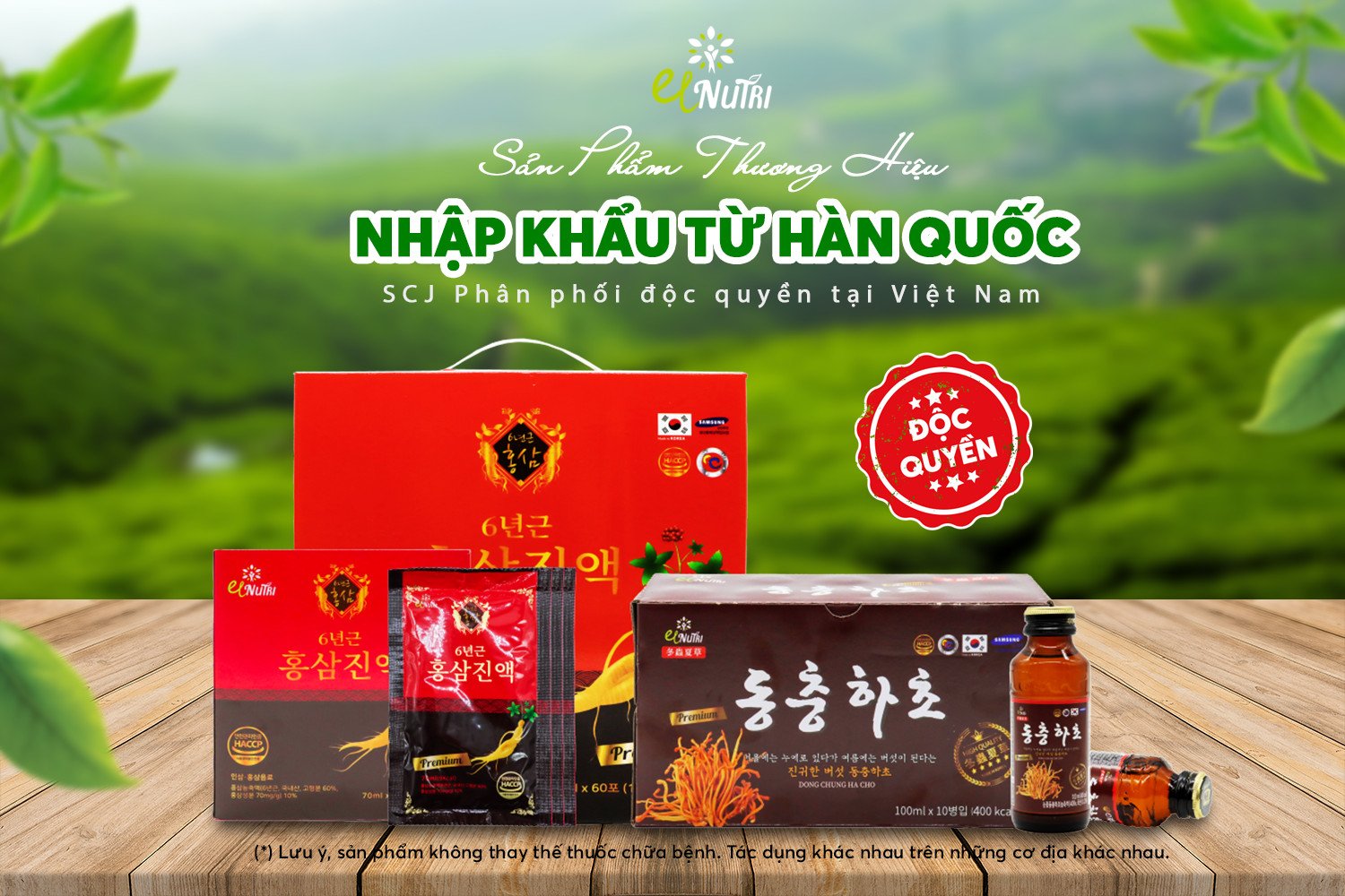 scj-khai-truong-showroom-travel-and-shopping-central