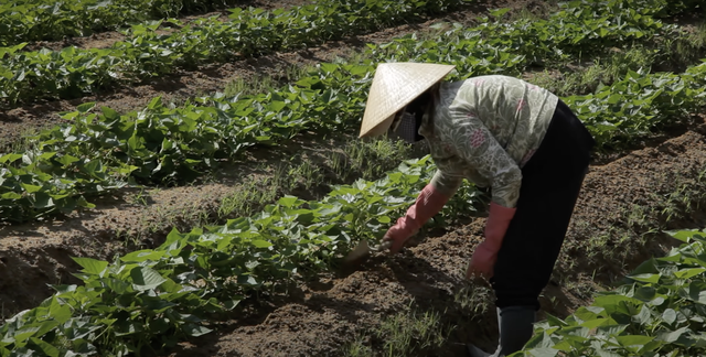 Du khách người nước ngoài bất ngờ chi phí du lịch tại Việt Nam vô cùng &quot;phải chăng&quot; - Ảnh 6.