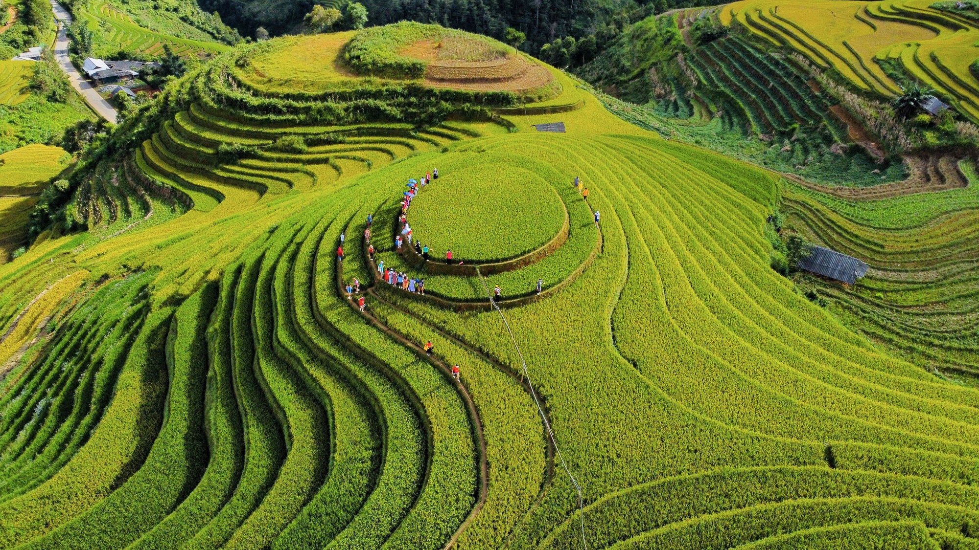Ảnh: Hàng nghìn người đổ về Mù Căng Chải ngắm mùa vàng chảy tràn trên triền núi - Ảnh 3.