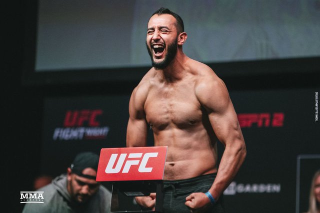 Những điểm nhấn đáng chú ý trước thềm sự kiện UFC 281 - Ảnh 3.