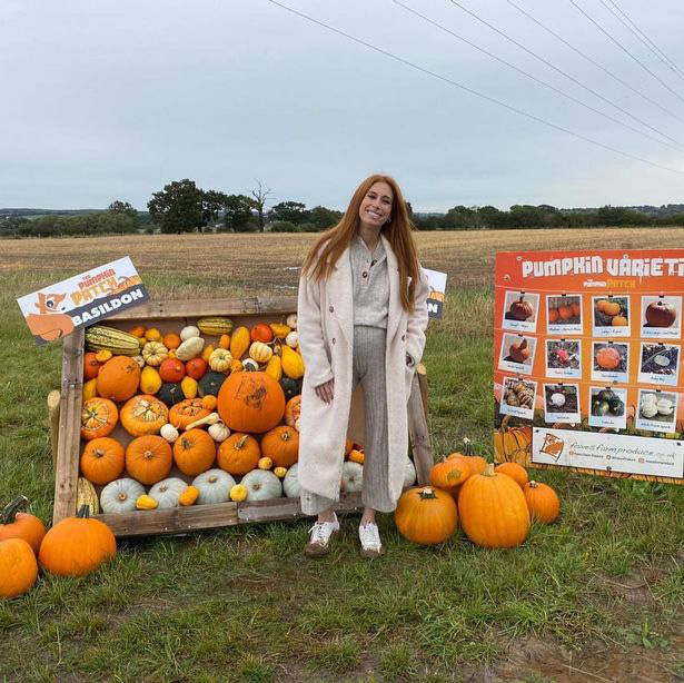 Nông trại bí ngô tự chọn mùa Halloween tại Anh