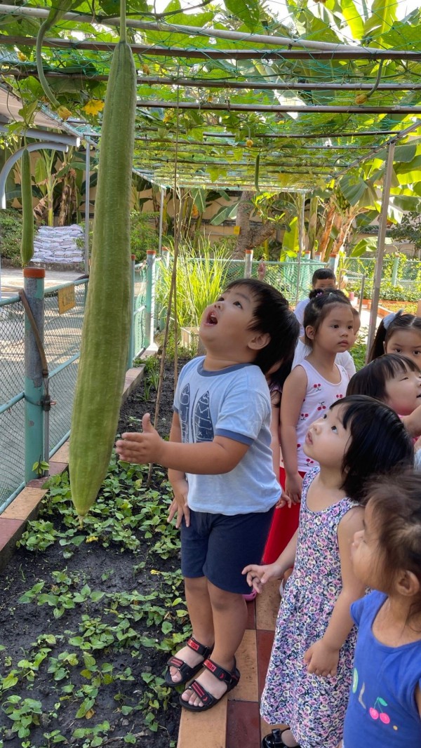 Bên trong trường mầm non 10.000 mét vuông ngay trung tâm TP.HCM