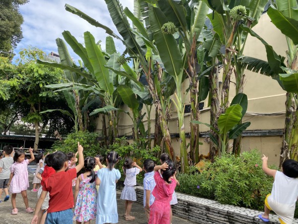 Bên trong trường mầm non 10.000 mét vuông ngay trung tâm TP.HCM