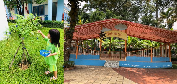 Bên trong trường mầm non 10.000 mét vuông ngay trung tâm TP.HCM