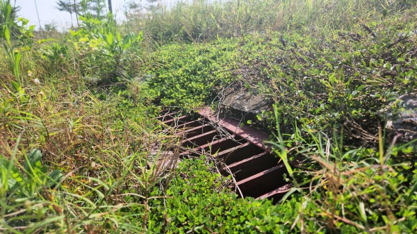 Cận cảnh hơn 4 ha ‘đất vàng’ bỏ hoang ở Hà Tĩnh