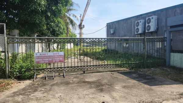 Cận cảnh hơn 4 ha ‘đất vàng’ bỏ hoang ở Hà Tĩnh