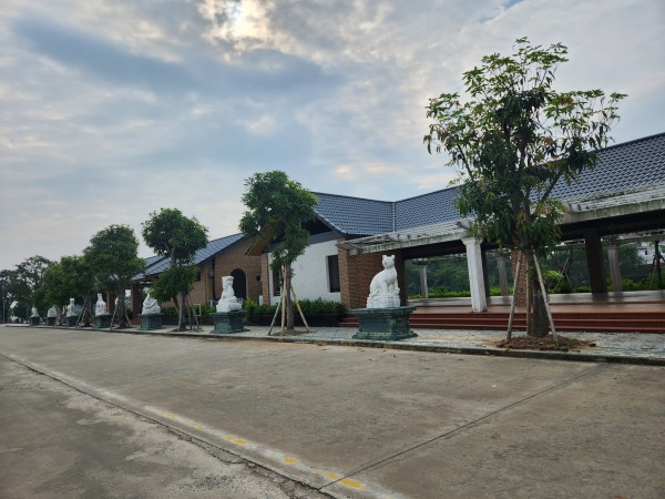 Cận cảnh hơn 4 ha ‘đất vàng’ bỏ hoang ở Hà Tĩnh