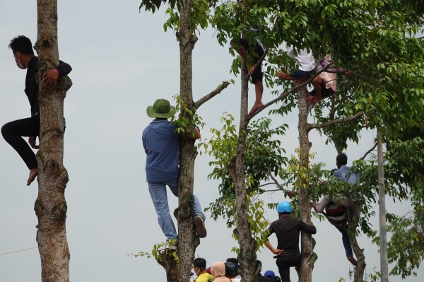 Tưng bừng lễ hội đua ghe ngo lớn nhất miền Tây Tưng bừng lễ hội đua ghe ngo lớn nhất miền Tây