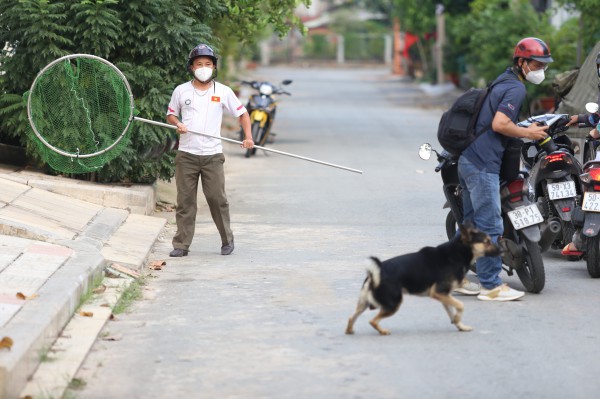 Một ngày theo chân đội bắt chó thả rông