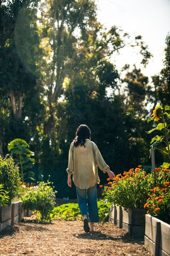 Nhiều người bỏ việc để sống ẩn dật trên núi đều đang hối hận - Ảnh 3. Nhiều người bỏ việc để sống ẩn dật trên núi đều đang hối hận - Ảnh 3.