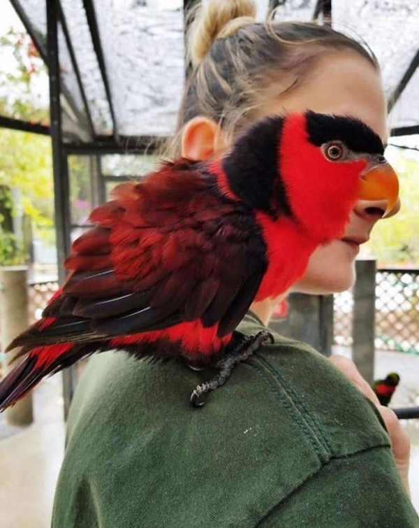 Những khoảnh khắc hoàn hảo và đúng thời điểm khiến bạn phải nhìn lại lần hai