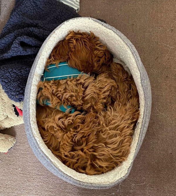 Những khoảnh khắc hoàn hảo và đúng thời điểm khiến bạn phải nhìn lại lần hai